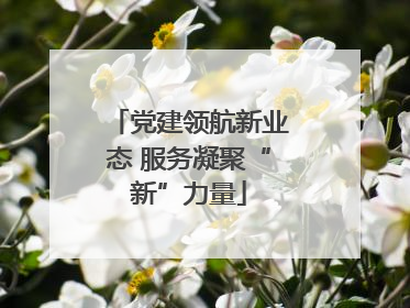 党建领航新业态 服务凝聚“新”力量