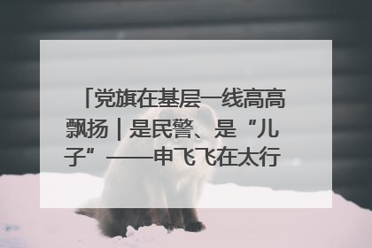 党旗在基层一线高高飘扬｜是民警、是“儿子”——申飞飞在太行山中的一线坚守