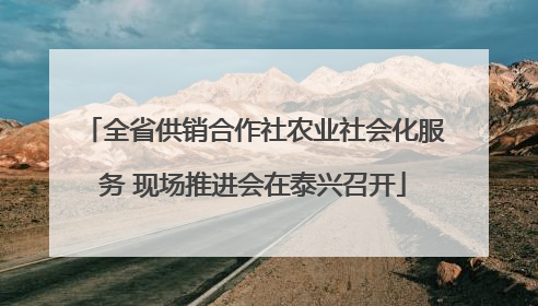 全省供销合作社农业社会化服务 现场推进会在泰兴召开