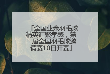 全国业余羽毛球精英汇聚孝感，第二届全国羽毛球邀请赛10日开赛