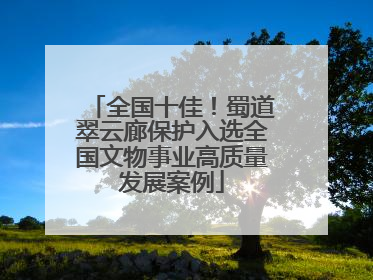 全国十佳！蜀道翠云廊保护入选全国文物事业高质量发展案例