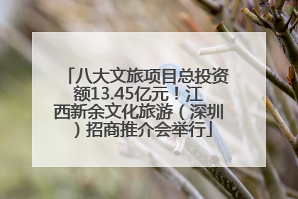 八大文旅项目总投资额13.45亿元！江西新余文化旅游（深圳）招商推介会举行
