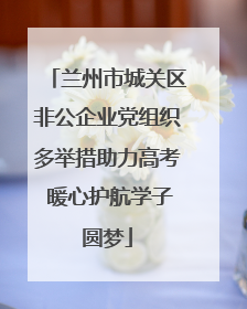 兰州市城关区非公企业党组织多举措助力高考 暖心护航学子圆梦