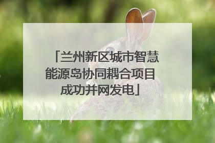 兰州新区城市智慧能源岛协同耦合项目成功并网发电
