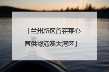 兰州新区首茬菜心直供粤港澳大湾区