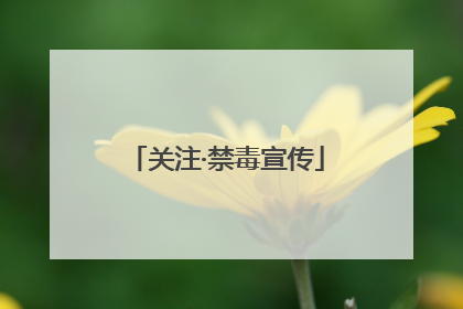 关注·禁毒宣传