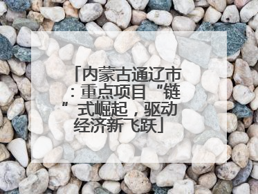 内蒙古通辽市：重点项目“链”式崛起，驱动经济新飞跃