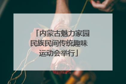 内蒙古魅力家园民族民间传统趣味运动会举行