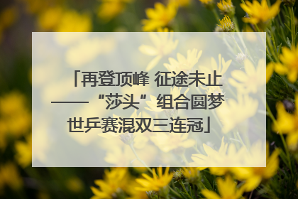 再登顶峰 征途未止——“莎头”组合圆梦世乒赛混双三连冠