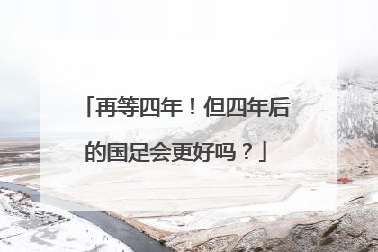 再等四年!但四年后的国足会更好吗?