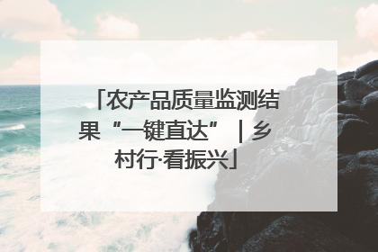 农产品质量监测结果“一键直达”｜乡村行·看振兴