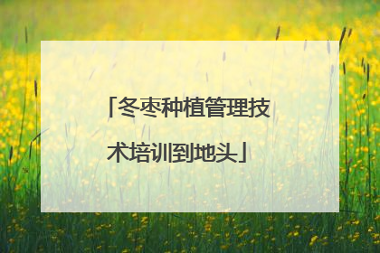 冬枣种植管理技术培训到地头