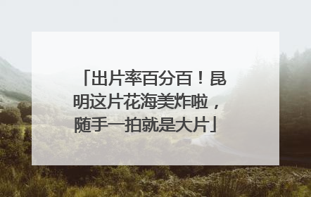 出片率百分百！昆明这片花海美炸啦，随手一拍就是大片