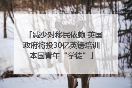 减少对移民依赖 英国政府将投30亿英镑培训本国青年“学徒”