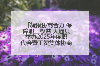 凝聚协商合力 保障职工权益 大通县举办2025年度职代会暨工资集体协商现场观摩交流活动