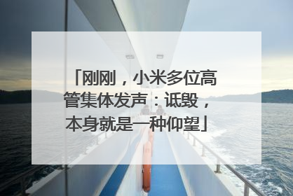 刚刚，小米多位高管集体发声：诋毁，本身就是一种仰望