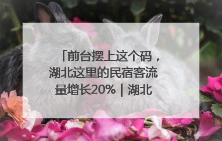 前台摆上这个码，湖北这里的民宿客流量增长20%｜湖北市场监管所的故事