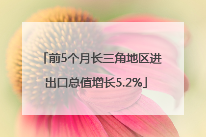 前5个月长三角地区进出口总值增长5.2%