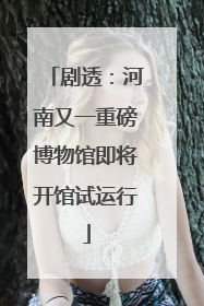 剧透：河南又一重磅博物馆即将开馆试运行