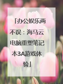 办公娱乐两不误：海马云电脑重塑笔记本3A游戏体验