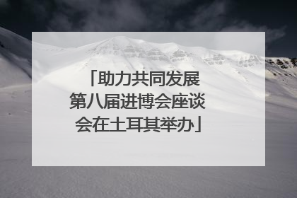 助力共同发展 第八届进博会座谈会在土耳其举办