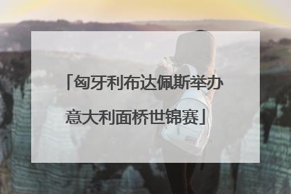 匈牙利布达佩斯举办意大利面桥世锦赛
