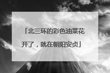 北三环的彩色油菜花开了，就在朝阳安贞