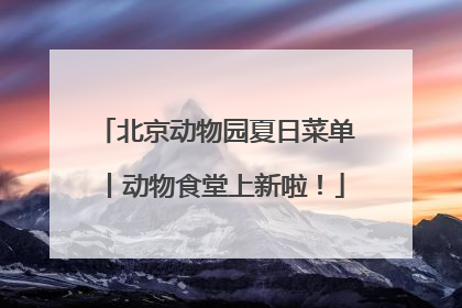 北京动物园夏日菜单丨动物食堂上新啦！