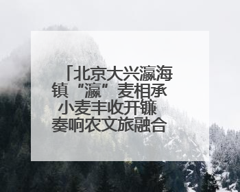 北京大兴瀛海镇“瀛”麦相承小麦丰收开镰 奏响农文旅融合新乐章