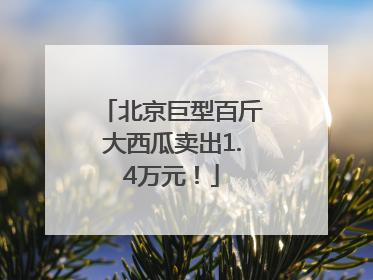 北京巨型百斤大西瓜卖出1.4万元！