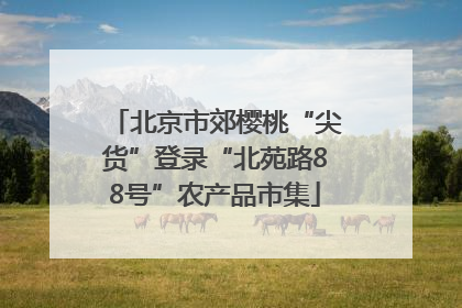 北京市郊樱桃“尖货”登录“北苑路88号”农产品市集