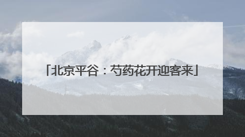 北京平谷：芍药花开迎客来