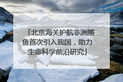 北京海关护航非洲鳉鱼首次引入我国，助力生命科学前沿研究