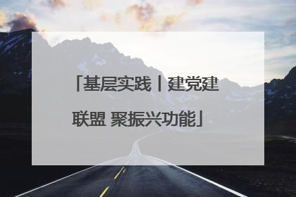 基层实践丨建党建联盟 聚振兴功能