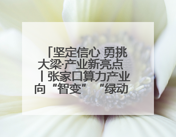 坚定信心 勇挑大梁·产业新亮点丨张家口算力产业向“智变”“绿动”跃升