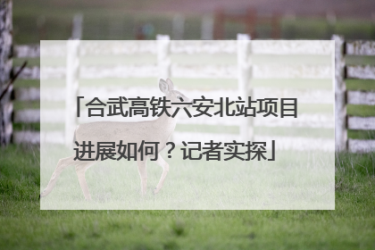 合武高铁六安北站项目进展如何？记者实探