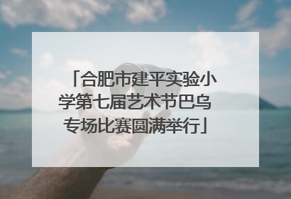 合肥市建平实验小学第七届艺术节巴乌专场比赛圆满举行