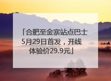 合肥至金寨站点巴士5月29日首发，开线体验价29.9元