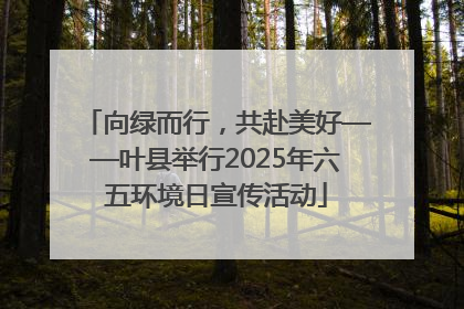 向绿而行，共赴美好——叶县举行2025年六五环境日宣传活动