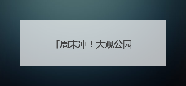 周末冲！大观公园双色睡莲惊艳绽放