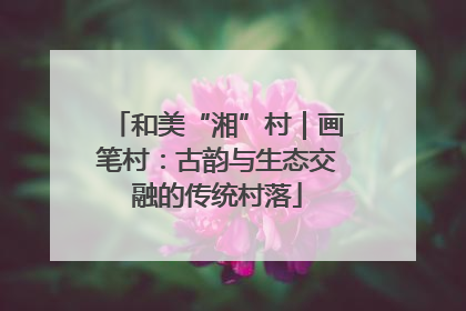 和美“湘”村｜画笔村：古韵与生态交融的传统村落