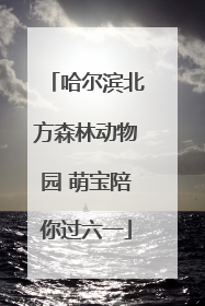 哈尔滨北方森林动物园 萌宝陪你过六一