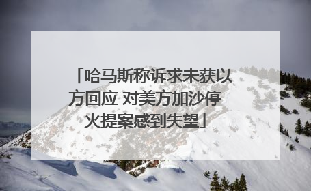 哈马斯称诉求未获以方回应 对美方加沙停火提案感到失望