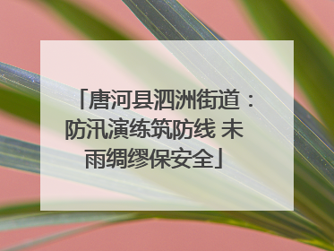 唐河县泗洲街道：防汛演练筑防线 未雨绸缪保安全