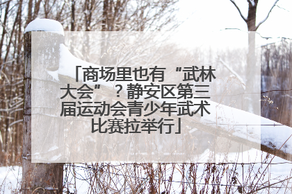 商场里也有“武林大会”？静安区第三届运动会青少年武术比赛拉举行