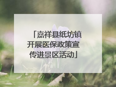 嘉祥县纸坊镇开展医保政策宣传进景区活动