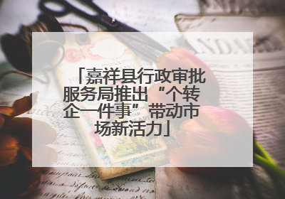嘉祥县行政审批服务局推出“个转企一件事”带动市场新活力