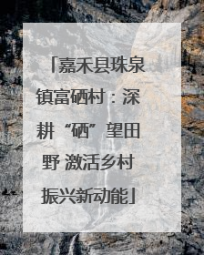 嘉禾县珠泉镇富硒村：深耕“硒”望田野 激活乡村振兴新动能