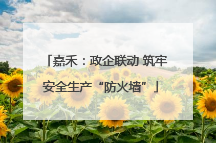 嘉禾：政企联动 筑牢安全生产“防火墙”