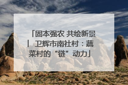 固本强农 共绘新景 ︳卫辉市南社村：蔬菜村的“链”动力